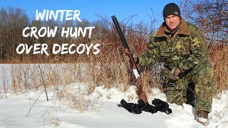 Winter Crow Hunting Over Decoys [upl. by Matelda]