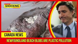 SHOCKING Newfoundland beach blobs are plastic pollution Latest Canada News At CTV News [upl. by Atiloj]