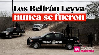 Los Beltrán Leyva nunca se fueron [upl. by Epillihp176]