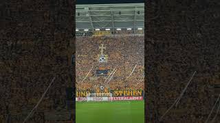 Dynamo Dresden Fans mit Choreographie [upl. by Euqinobe509]