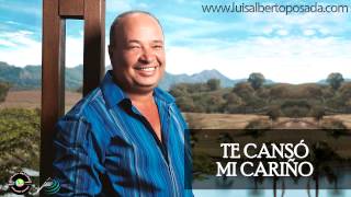 Luis Alberto Posada  Te Cansó Mi Cariño Audio Oficial [upl. by Aicitan]