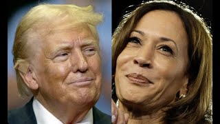 Noticiero 5pm Las últimas encuestas ¿Quién gana entre Harris y Trump [upl. by Suoivatram764]