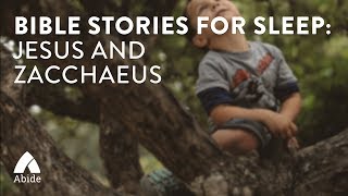 Bible Stories for Sleep Jesus and Zacchaeus [upl. by Ah]