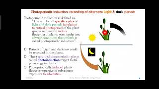 Photoperiodism part 2 Photoperiodic induction [upl. by Ollopa744]