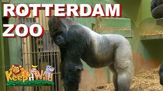 Rotterdam Zoo [upl. by Flossie762]