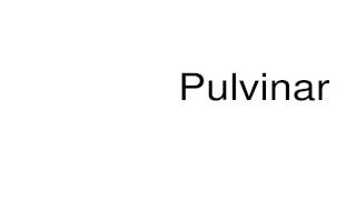 How to pronounce Pulvinar [upl. by Inaffit330]