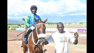 JAMAICA RACING Queen Of Soul Takes Sun Sept 8 2024 6th [upl. by Nnyleuqcaj]