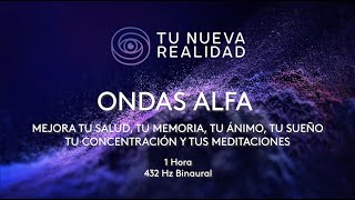 ONDAS ALFA 1 hora [upl. by Fiorenze]