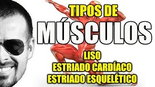 Tipos de Músculos Liso Estriado Cardíaco e Esquelético  Sistema Muscular  VideoAula 081 [upl. by Eillim]