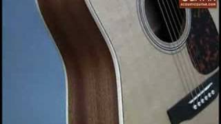 Acoustic Guitar Review  Larrivee D03 [upl. by Monreal]