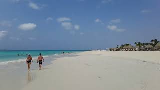 Eagle beach Aruba the most beautifull beach of Aruba in 4K resolution with blue sky [upl. by Sucramed]