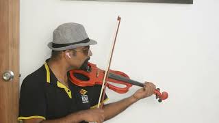 Anjali Anjali Pushpanjali Duet arrahman duet violincover [upl. by Grefer]