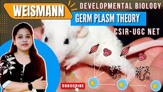 Weismann Germ Plasm Theory  Developmental Biology CSIR NET [upl. by Acino]