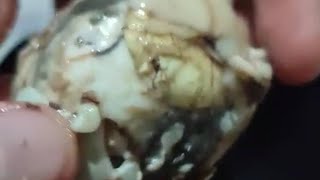 Balut Egg DUCK Egg Eating Fertilized egg [upl. by Eanel]