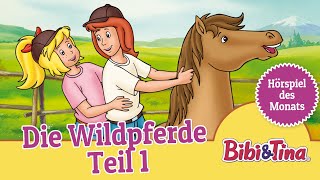 Bibi und Tina Die Wildpferde  Teil 1 Folge 13  Hörspiel des Monats das ZWEITPLATZIERTE Mai [upl. by Ajtak]