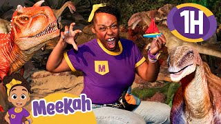 Can Meekah Find her Dinosaur Friend  Educational Videos for Kids  Blippi and Meekah Kids TV [upl. by Rickart208]