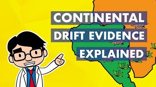 Continental Drift Evidence Explained [upl. by Fairley]