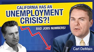 CA Has an Unemployment Crisis [upl. by Zellner859]