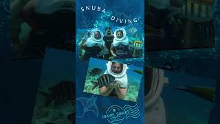 What is Snuba diving🤿 [upl. by Margarethe]