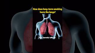 How does longterm smoking harm the lungstobacco hazard health change youtube foryou fyp [upl. by Inalej]