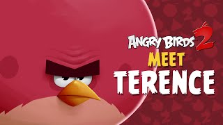 The Angry Birds Movie but just Terence [upl. by Ledif]