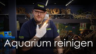 Aquarium reinigen  Wie und womit säubere ich mein Aquarium richtig  AquadoZoo Dortmund [upl. by Aliakim]