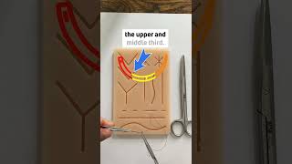 How to suture like a plastic surgeon Part 2 Vertical Mattress [upl. by Ahtrim381]