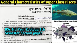 General Characteristics of Superclass Pisces in Hindi  BSc 3rd year Zoology 5th semester 2nd paper [upl. by Nagrom]