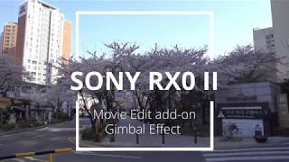 SONY RX0 II with Movie Edit addon video stabilization [upl. by Asertal]