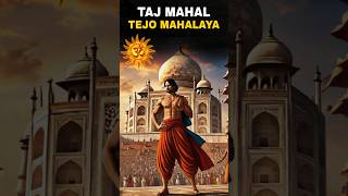 TAJ MAHAL NHI SHIV TEMPLE 😳 TEJO MAHALAYA 🚩 tajmahal tejomahalaya shivmandir shorts hindu [upl. by Carr]