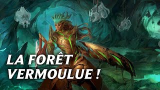 Promenonsnous Dans les Bois Présentation de deck  Golgari Midrange  Standard MTG  A FR [upl. by Neyut]