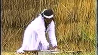 Abonesh Adinew  Balageru አቦነሽ አዲነው  ባላገሩ Ethiopian Music Video [upl. by Nniroc197]