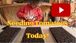 Seeding Tomatoes Today [upl. by Forta]