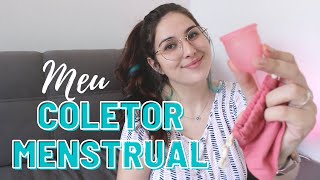 Minha experiência com COLETOR MENSTRUAL  3 meses de uso [upl. by Jovi]