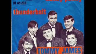 Hanky Panky  Tommy James amp the Shondells 1966 [upl. by Tarttan]