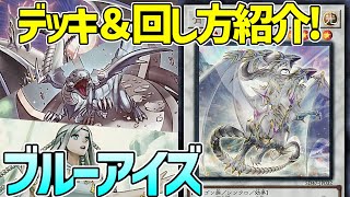 【遊戯王】初心者復帰勢オススメ！ストラク＋数千円で最強レベルに！？『ブルーアイズ』徹底解説＆デッキレシピ！！【デュエダン】 [upl. by Irv878]