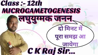 Microgametogenesis लघुयुग्मक जनन detailed lecture of MICROGAMETOGENESIS C K Raj Sir [upl. by Straus]