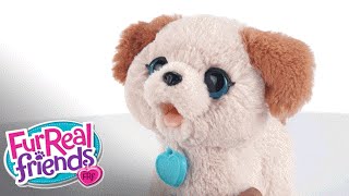 FurReal Friends  Pax My Poopin Pup Demo  Hasbro [upl. by Ayekan]