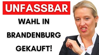 Vereine beeinflussen mit Steuergeld die Wahl um AfD zu verhindern [upl. by Eisset721]