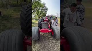 Mp ki Jaan Bahadur ghodavlog minivlog trending farming [upl. by Enerahs]