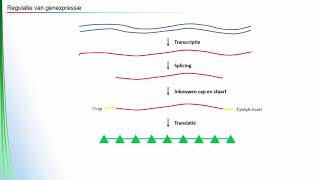 Regulatie van genexpressie [upl. by Davina]