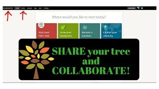 Ancestrycom Manage Family Tree  Sharing  Collaborate Guest Contributor Editor [upl. by Selda]