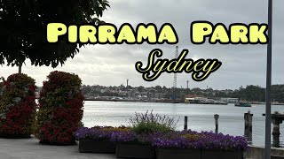 Sydney Australia walking tour Pirrama Park walkway  Sydney famous park ever visited [upl. by Lanoil]