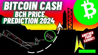 Bitcoin Cash BCH Crypto Coin Update [upl. by Colin160]