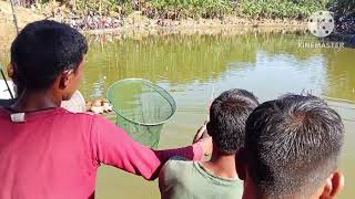 Tikrikilla Koraibari fishing Competition [upl. by Zurkow]