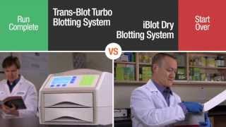 Battle of the Blotters TransBlot® Turbo™ vs iBlot Transfer Systems [upl. by Ahsena]