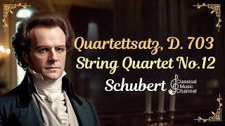 Schubert  Quartettsatz D 703 String Quartet No12 [upl. by Normac]