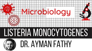 Listeria Monocytogenes  USMLE Step 1 Microbiology  Dr Ayman Fathy [upl. by Colby]