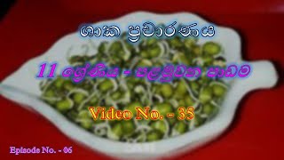 අංකුර අදින ලද බිජ සකස් කිරිමAgriculture amp Food Science OL Video No35 [upl. by Ancel433]