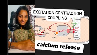 Excitation Contraction coupling I Ca Release I Nerve Muscle Physiology I Phase 1 MBBS Professional [upl. by Anerat]